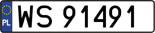 WS91491