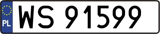 WS91599