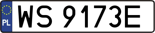WS9173E