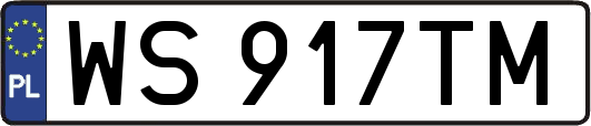 WS917TM