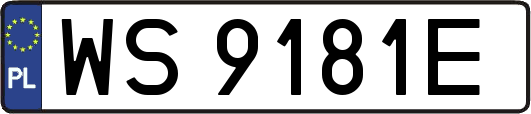 WS9181E