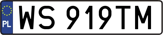 WS919TM