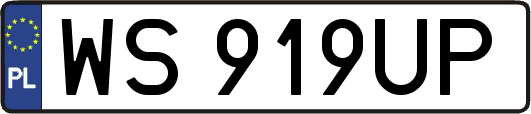 WS919UP