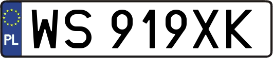 WS919XK