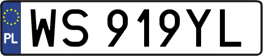 WS919YL