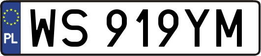 WS919YM