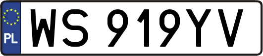 WS919YV