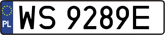 WS9289E