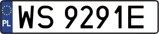 WS9291E