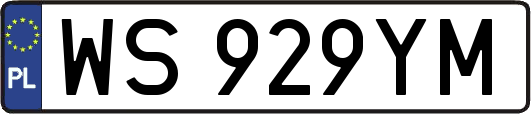WS929YM