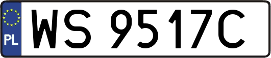 WS9517C