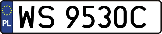 WS9530C