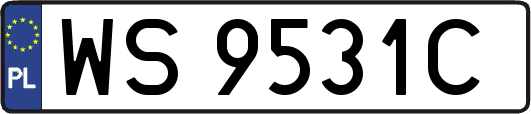 WS9531C
