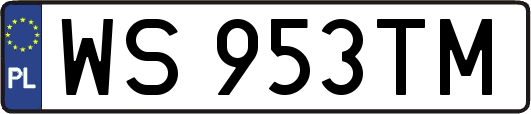 WS953TM