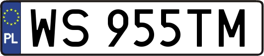 WS955TM