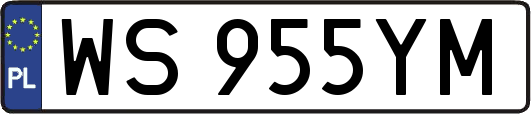 WS955YM