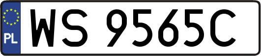 WS9565C