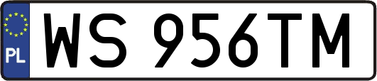 WS956TM
