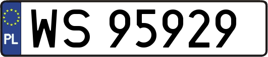 WS95929