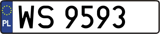 WS9593