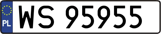 WS95955