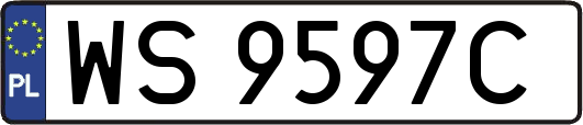WS9597C