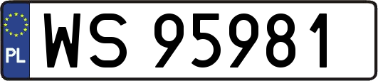 WS95981