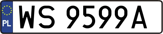 WS9599A