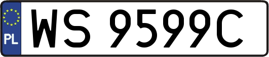WS9599C