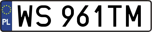 WS961TM