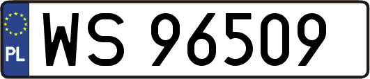 WS96509