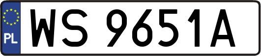 WS9651A