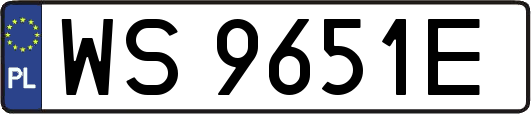 WS9651E