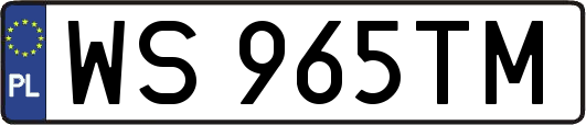 WS965TM