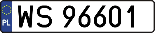 WS96601