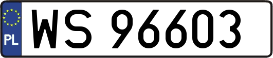 WS96603