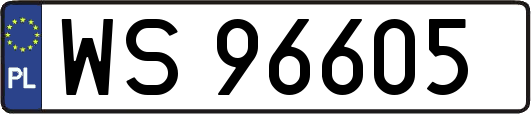 WS96605