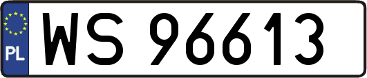 WS96613
