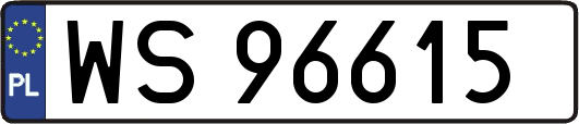 WS96615