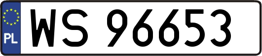 WS96653