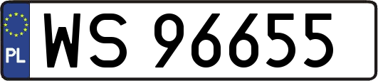 WS96655