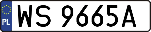 WS9665A