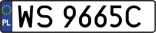 WS9665C