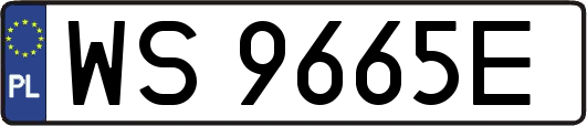 WS9665E