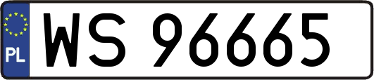 WS96665