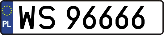 WS96666