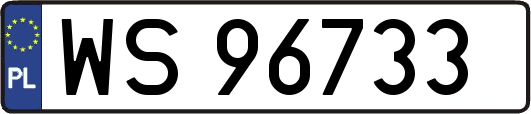 WS96733