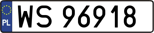 WS96918
