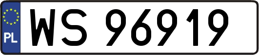 WS96919
