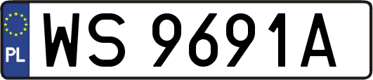 WS9691A